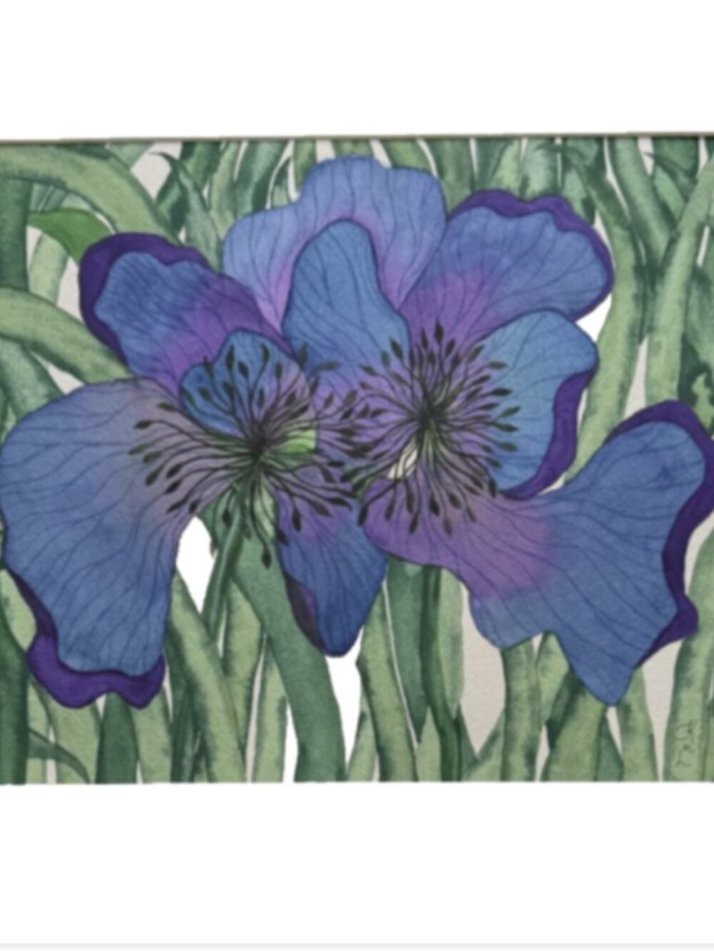 Painting Watercolor Flower Wildflower Blue Purple 11x14 & Mat 16x20 Original Art